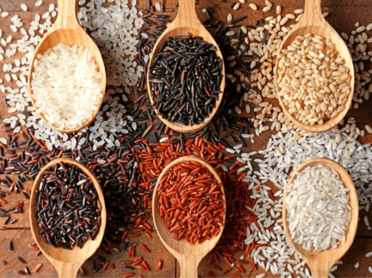 Pisces Rice Rediscovering Rice – PODI life