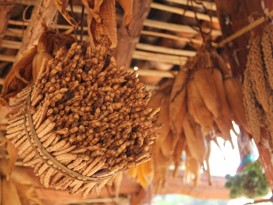 Millets- a story of survival and renewal