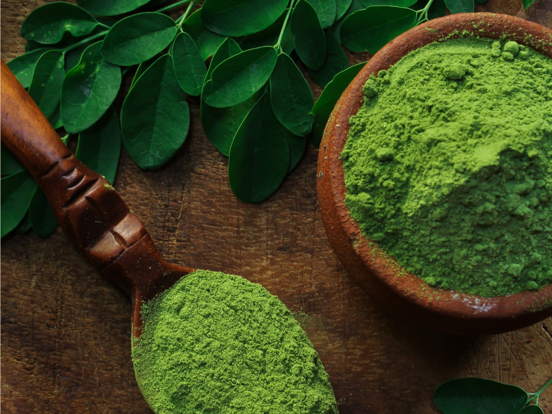 From Backyard Tree to Global Trend - The Many Lives of Moringa