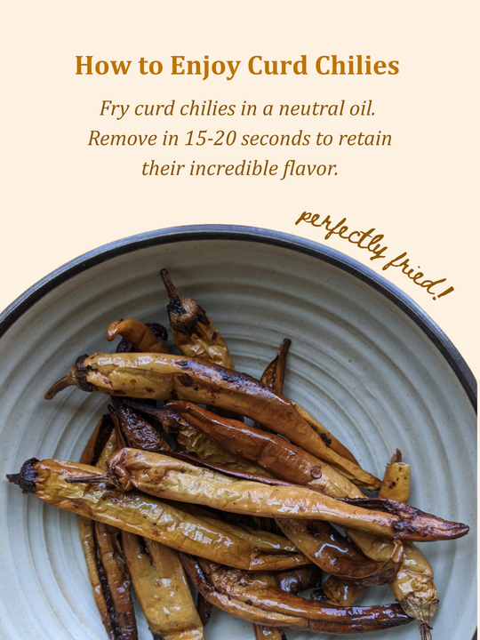 Sun-dried Curd Chilies