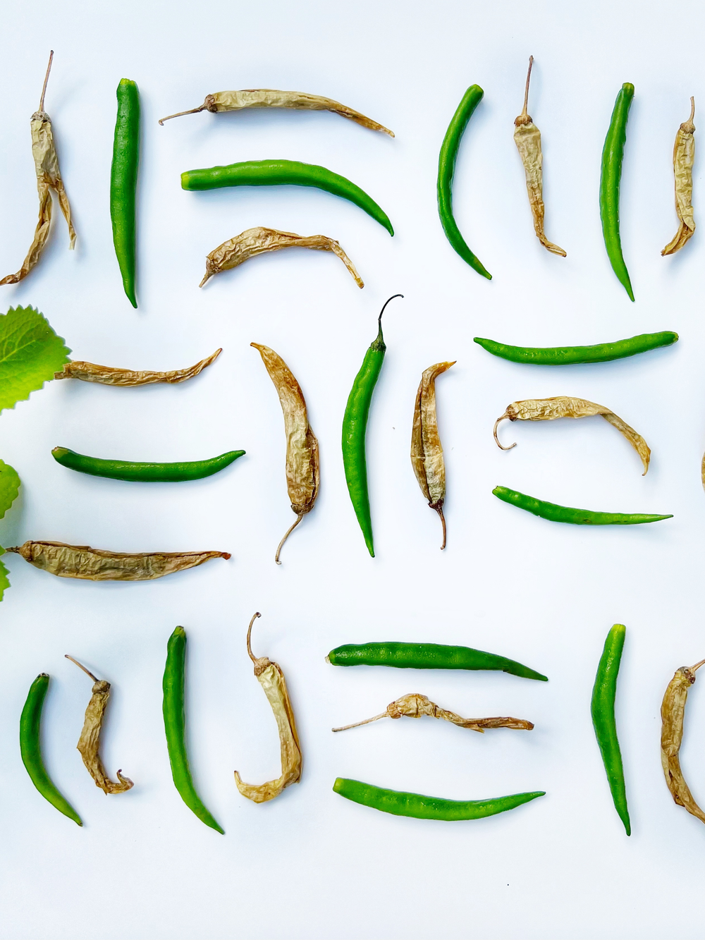 Sun-dried Curd Chilies