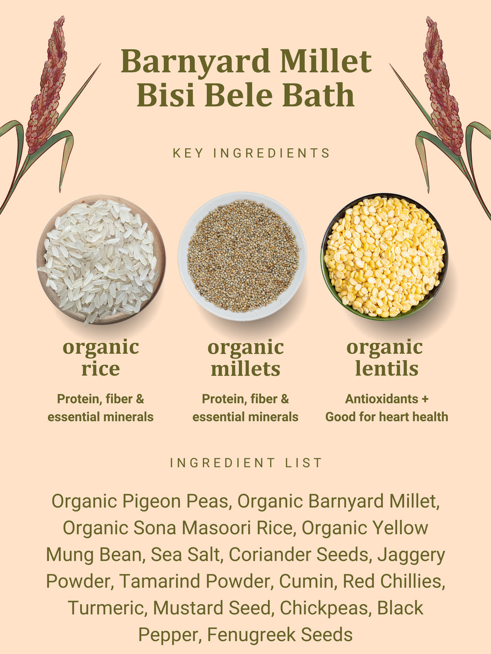 Bisi Bele Bath